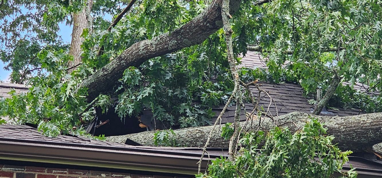 Emergency Tree Removal